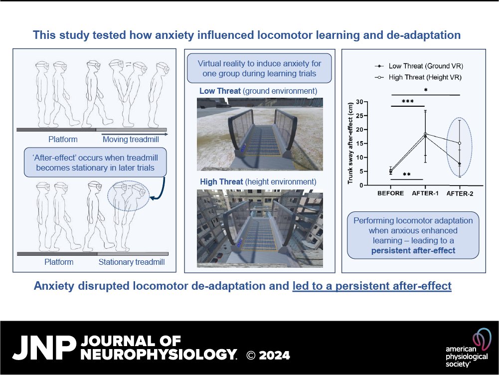 🔓#OpenAccess ➡️The influence of postural threat-induced anxiety on #LocomotorLearning and updating (@Toby_Ellmers et al.) ow.ly/K2JF50RiWKc #LocomotorAdaptation #MotorLearning #Neurophysiology #JNeurophysiol