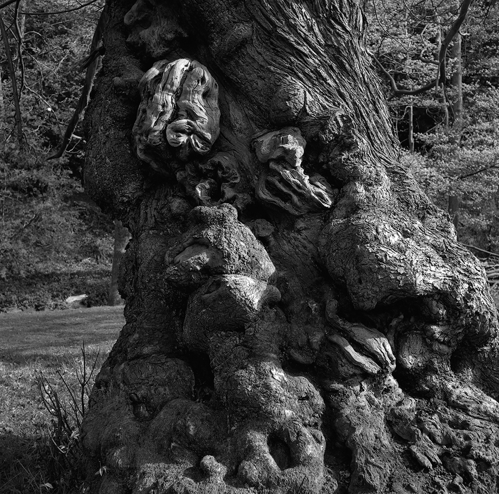 Keith Moss tweet media