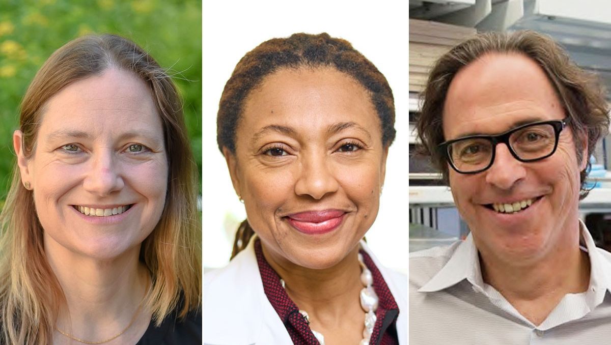 Congrats to Drs. @PattiDickson, @DKhabeleMD & Greg Longmore for their election to the Association of American Physicians. The @WUSTLmed physician-scientists at Siteman have been recognized for leading innovative scientific research to improve health care. siteman.wustl.edu/washu-physicia…