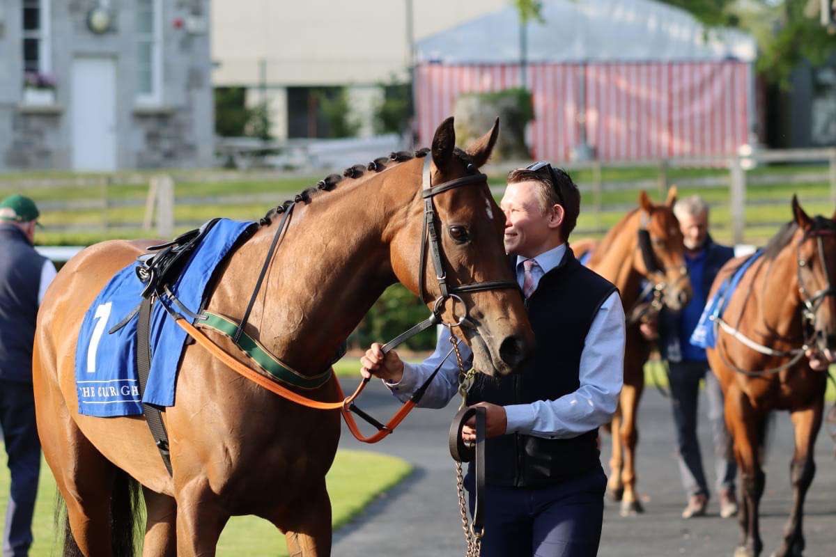 Conor O’Dwyer Racing (@codwyerracing) on Twitter photo Lady Arwen Runs <a href="/gowranpark/">Gowran Park Racing</a>
5:40 Irish Stallion Farms EBF Fillies Handicap
Cian Horgan takes the ride
Best of luck to all connections! Lady Arwen Runs <a href="/gowranpark/">Gowran Park Racing</a>
5:40 Irish Stallion Farms EBF Fillies Handicap
Cian Horgan takes the ride
Best of luck to all connections!
