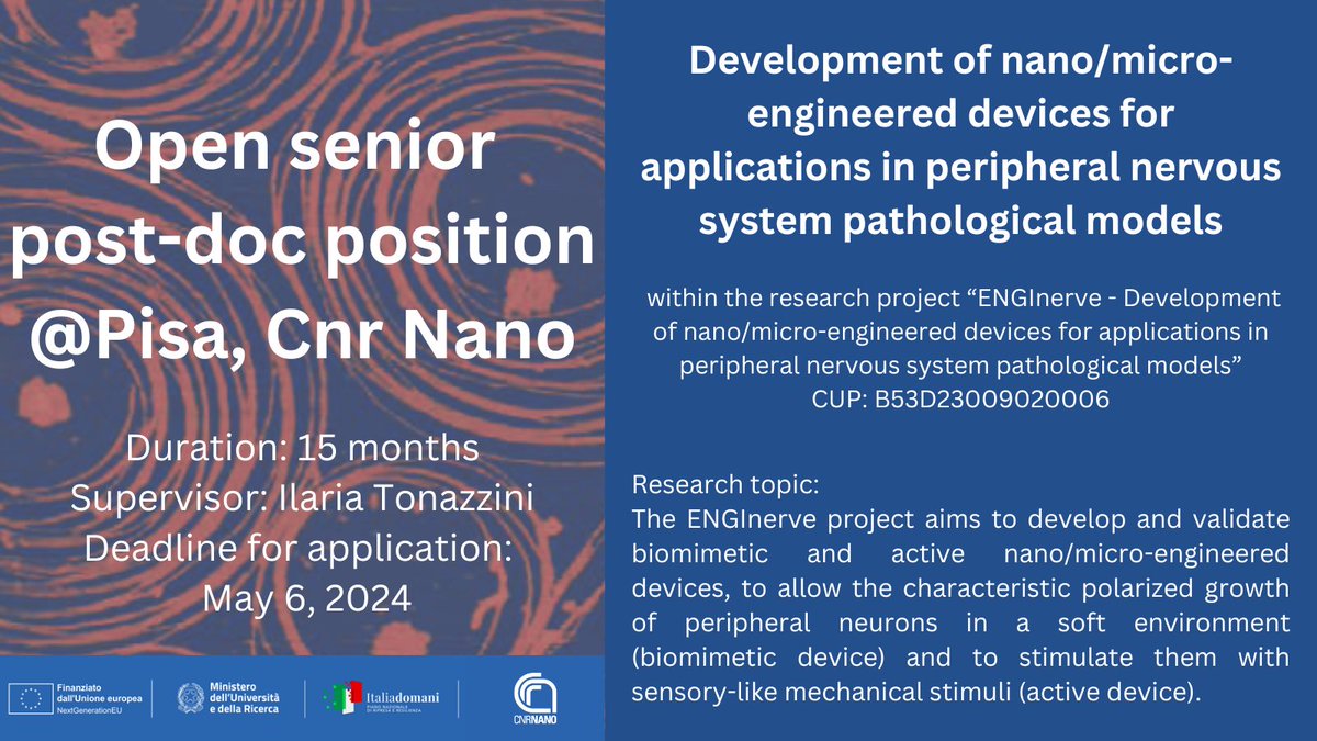 Cnr_Nano's tweet photo. 📢#jobalert! Three #PostDoc positions in #nanoscience at @Cnr_Nano
📌#Metasurfaces #LIDAR
📌 #Biomimetic #microdevices
📌#NeuronalDamage #Astrocytes
⌛️Deadline: 4 & 6 May
ℹ️https://t.co/uOUncMPccl
#hiring #sciencejobs @CnrSocial_ https://t.co/a5lfQbcyYk