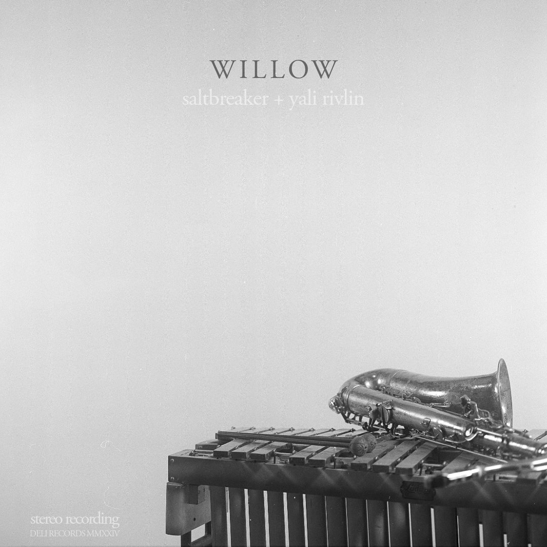 Really proud of my new record which comes out this Friday, here's a positive take from across the pond:  roadie-music.com/willow-artista…