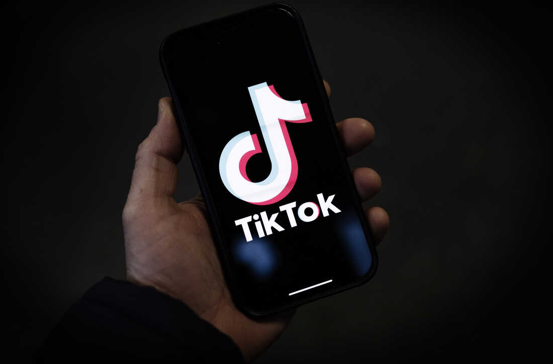 Elon Musk should buy TikTok and make it like Vine for X, he should buy it before it gets in the hands of wrong woke people.