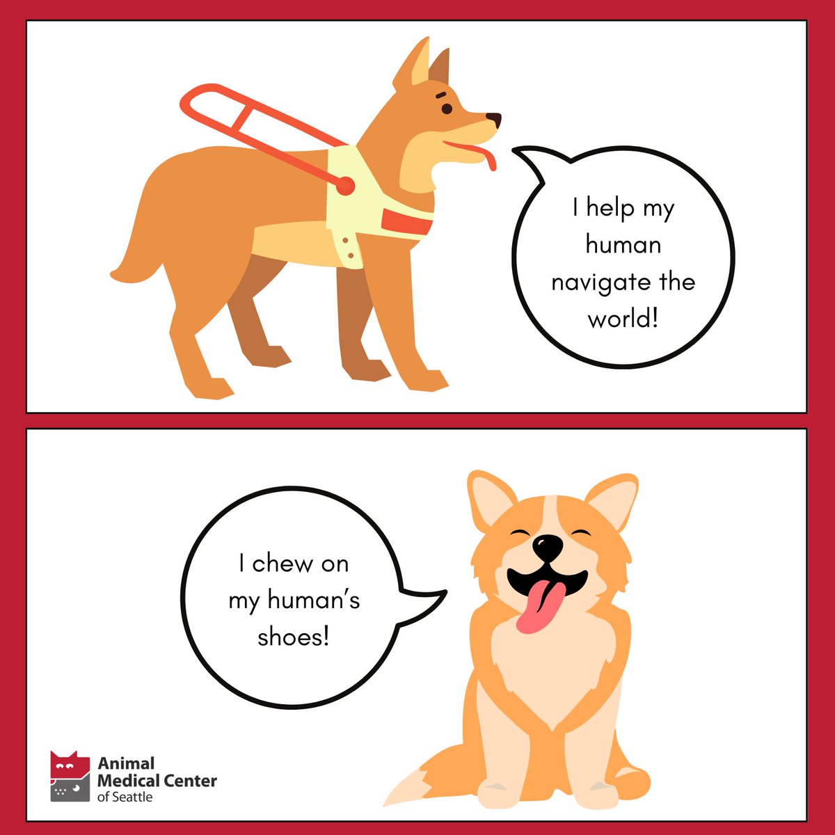 AMCSeattle Vet tweet media