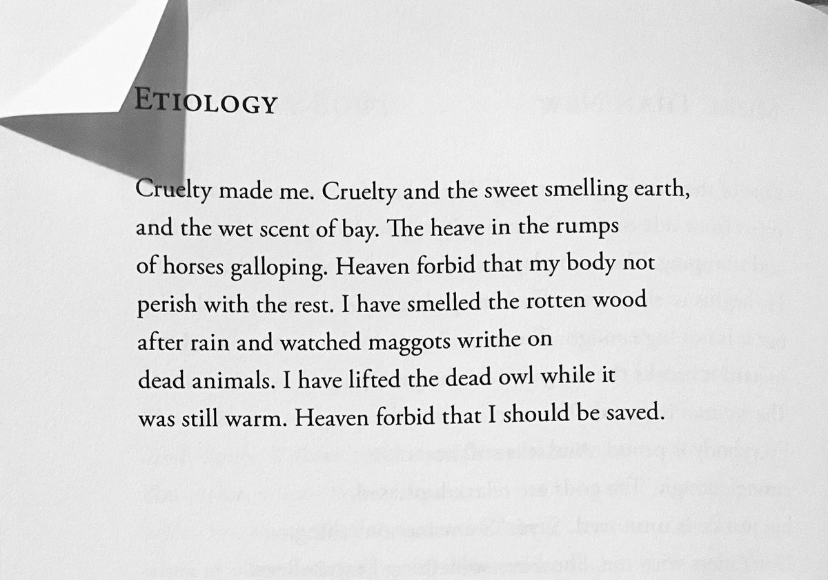 Cruelty made me. Cruelty and the sweet smelling earth, and the wet scent of bay. —Linda Gregg