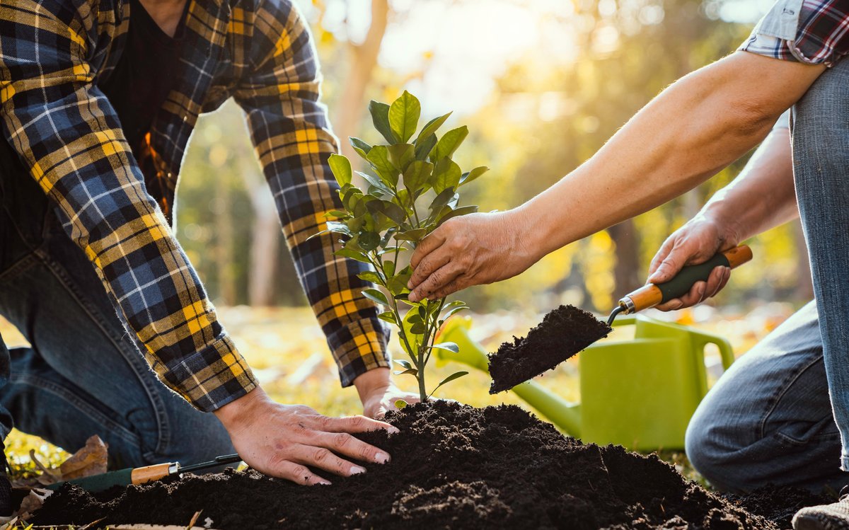 LAST CALL for our Green Shade Tree Rebate! If you purchased an eligible tree from 10/1/23 to 4/30/24, then you may qualify for a $50 rebate. Plus, carefully positioned trees can save up to 25% of a household’s energy usage! Learn more & apply online: cpsenergy.com/treerebate