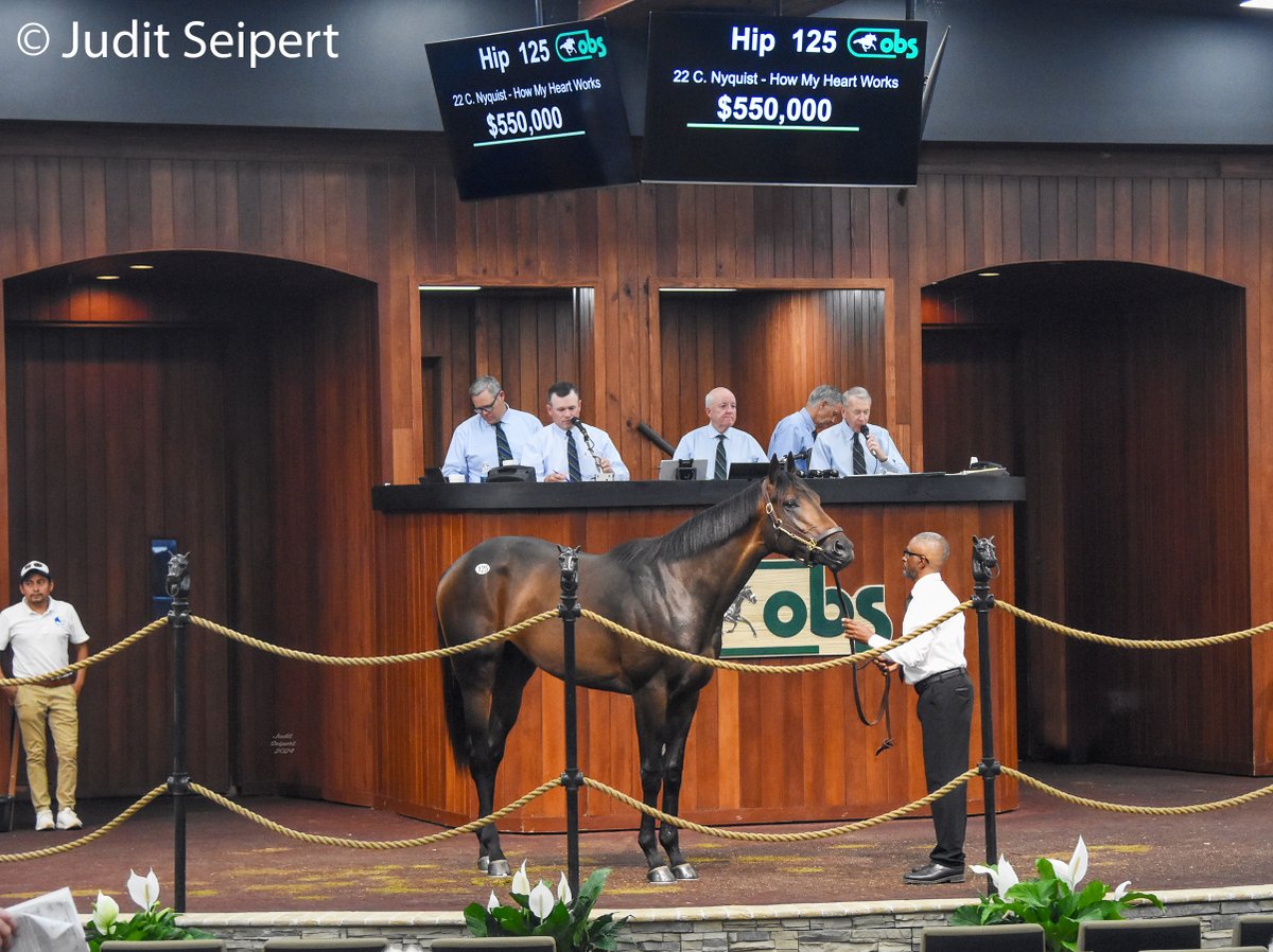 Four #MDBred 2-year-olds sold for six figures at the recently concluded OBS April Sale, including his $550,000 half-brother to 2021 Maryland Million Classic champ Monday Morning Qb! He was bred by Bowman & Higgins Stable. Read more about the sale here: bit.ly/3xSRSen