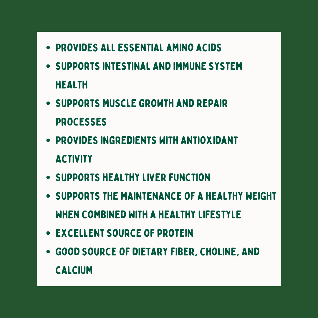 2roadswellness's tweet photo. We are proud to sell Standard Process supplements at Two Road Wellness Center! Did you know SP has an amazing protein powder? With two favors to choose from, this is a great addition to your daily diet!
#protein #proteinshake #proteinpowder #standardprocess https://t.co/ldLrwj5Y96