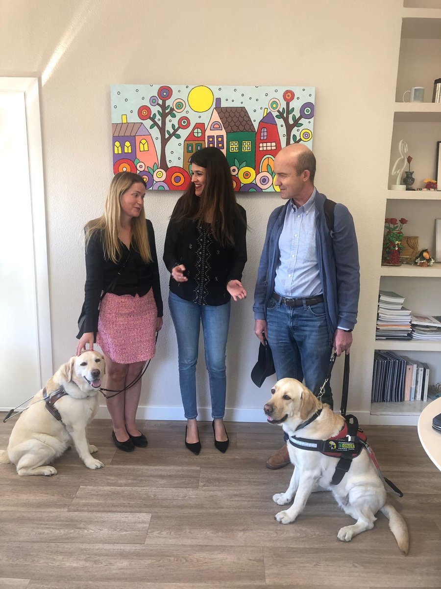 AsoPerroguiaOrg's tweet photo. Hoy celebramos el día internacional del perro guía.

24 de abril de 2024
Los Perros Guía dan autonomía e independencia a las personas con discapacidad visual y auditiva.

Gracias por estar ahí.

#CaminandoJuntos  #PerrosGuía #Murcia
@miriamperezalba https://t.co/hnspvTEnmo