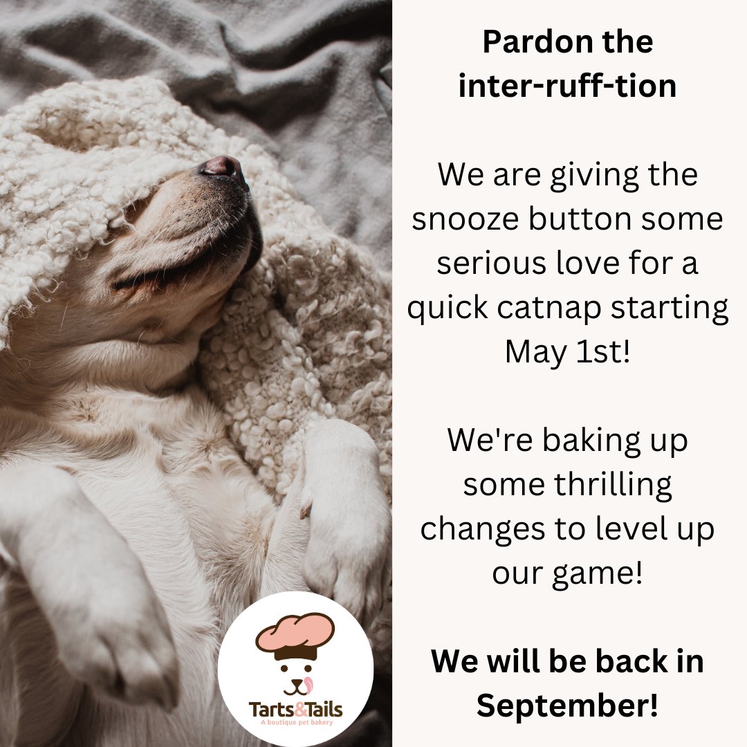 Get your orders in soon, before we hit the paaaws button! 🐶🐕⏸️

#Dog #Pet #dogmom #dogsoftwitter #dogsofinstagram #dogstagram #instadog #doglovers #doggo #doglife #dogsoftwitter #dogtreats #dogs #womenownedbusiness #dogfood #adogslife #pets #rescue #blackwomanownedbusiness