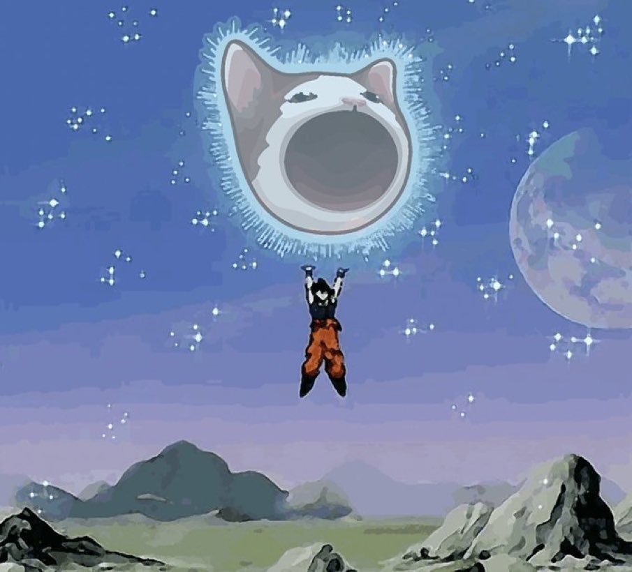 PopCat_Base's tweet photo. Pop Cat is the King Cat 👑

$POPCAT 🔵 https://t.co/usYMjx3ECf