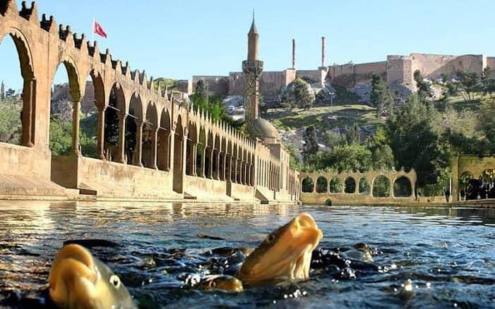 Şahsımı Şanlıurfa Büyükşehir Belediyesi Belsan A.Ş. Genel Müdürlüğüne layık gören Şanlıurfa Büyükşehir Belediye Başkanımız Sn M.Kasım GÜLPINAR’a teşekkür ediyorum. 

Kıymetli Başkanımızla Urfamız için güzel işlere imza atacağımızdan kimsenin şüphesi olmasın.