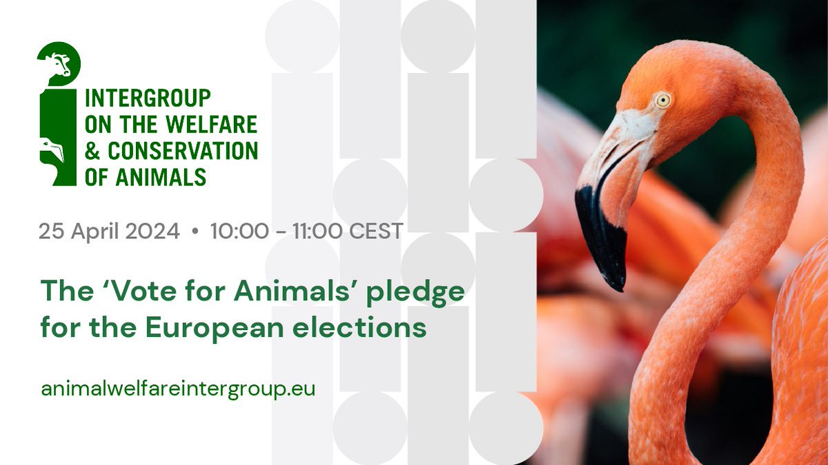 🗓️ 25 April ⏰ 10:00 - 11:00 CEST 📍 Room WEISS N 3.2, European Parliamanet Strasbourg 💻 Follow live on YouTube: youtube.com/live/3j2VvNymB… 📄 Agenda & more: animalwelfareintergroup.eu/calendar/vote-…