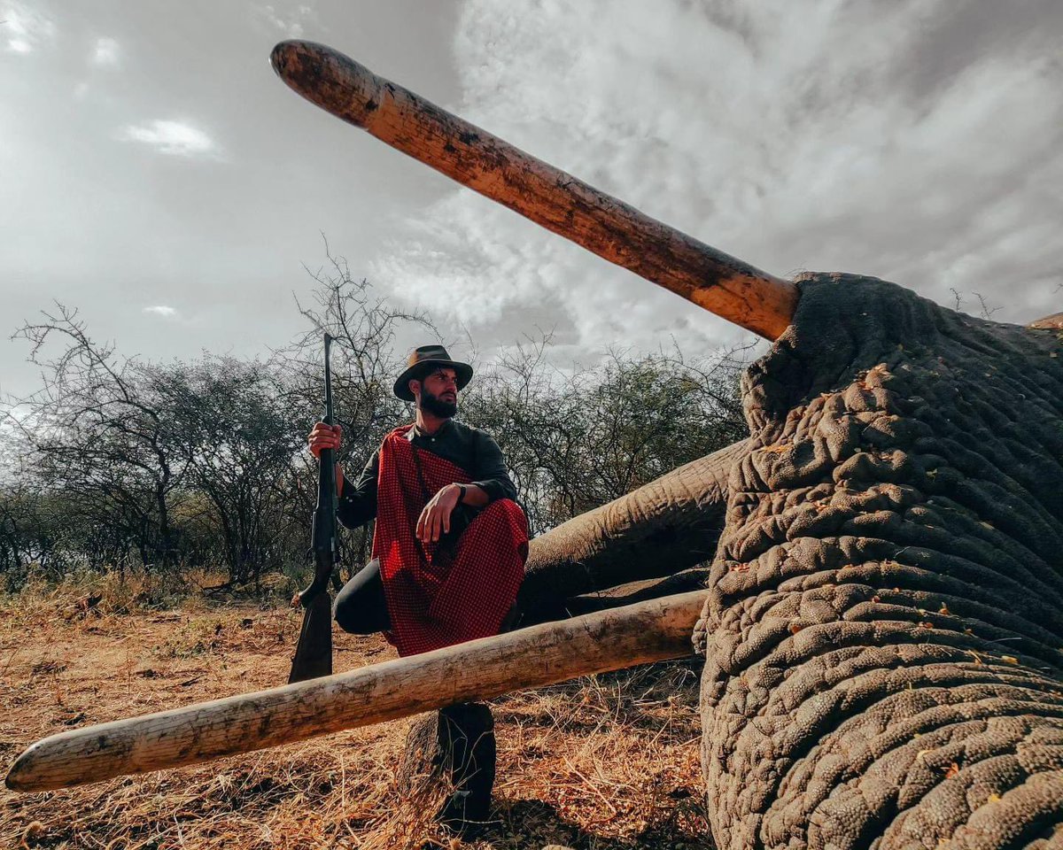 Kilombero North Safaris is killing off the super tuskers crossing the border between Kenya & Tanzania. Zidane Janbeck,director & PH with a magnificent elephant. An abomination. #BanTrophyHunting RT @SARA2001NOOR @Angelux1111 @DidiFrench @Gail7175 @Lin11W @PeterEgan6 @CWitvrouwen