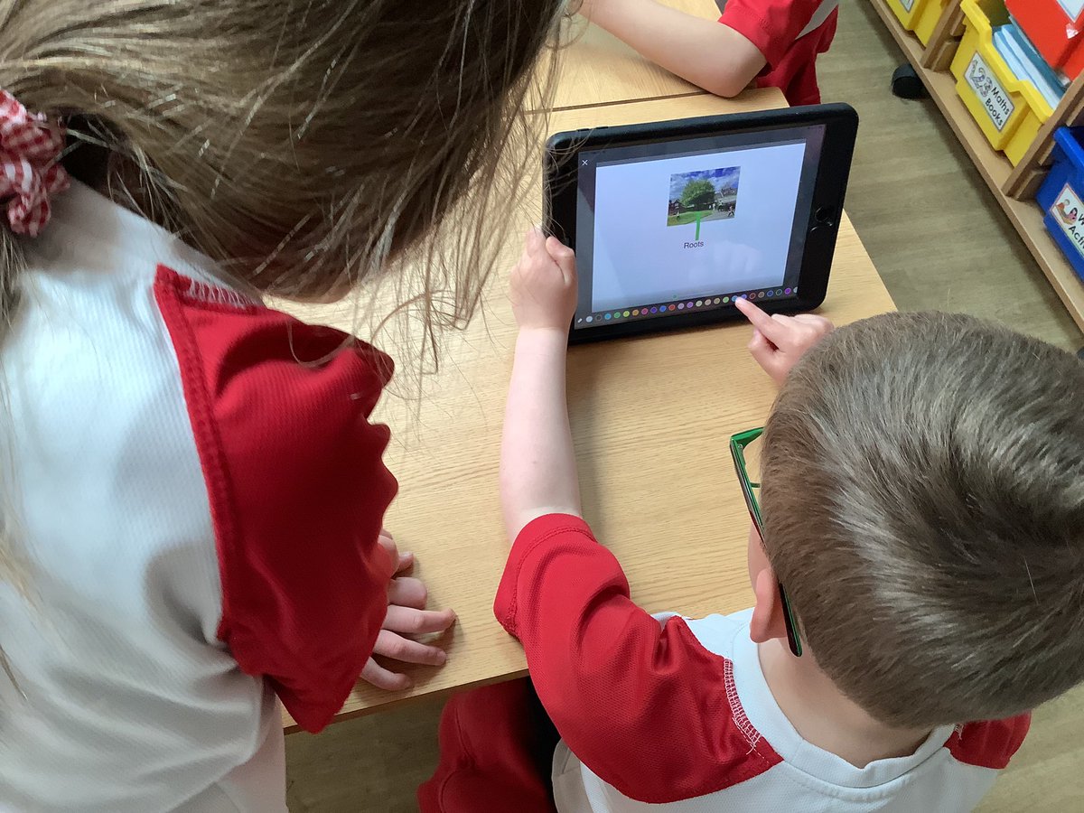 Class1Aspull's tweet image. During computing today we have used our pictures that we have taken of plants in our school grounds and used pic collage to label them #acpscomputing