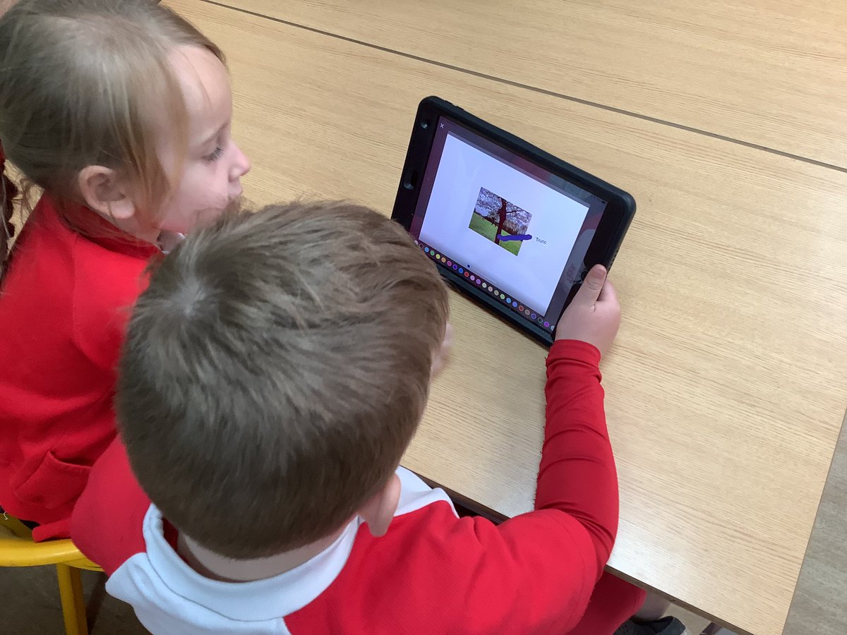 Class1Aspull's tweet image. During computing today we have used our pictures that we have taken of plants in our school grounds and used pic collage to label them #acpscomputing