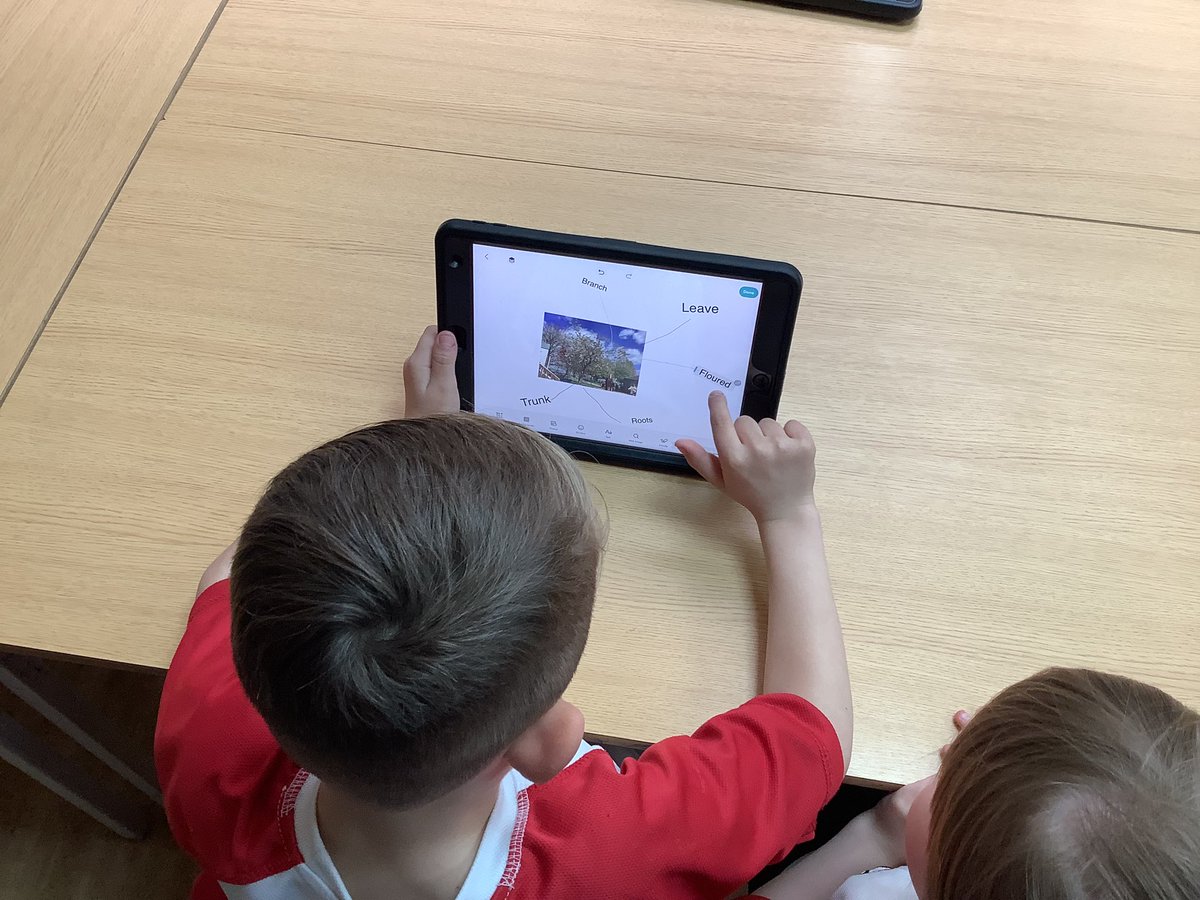 Class1Aspull's tweet image. During computing today we have used our pictures that we have taken of plants in our school grounds and used pic collage to label them #acpscomputing