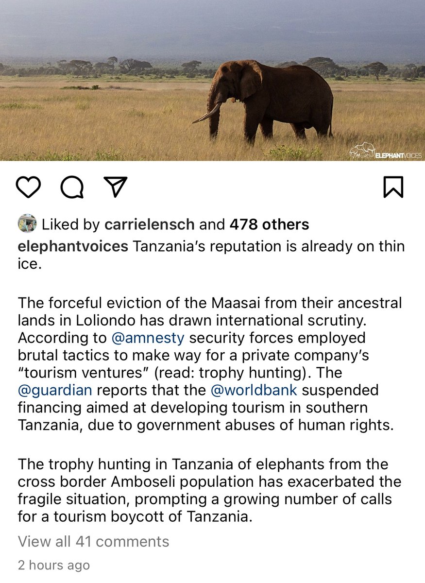 Trophy hunting hurts the very communities it claims to support, as the World Bank freezes funding on a large tourism project in Tanzania amongst serious human rights violations. Read @elephantvoices post below, and this news article for more info: abcnews.go.com/Business/wireS…