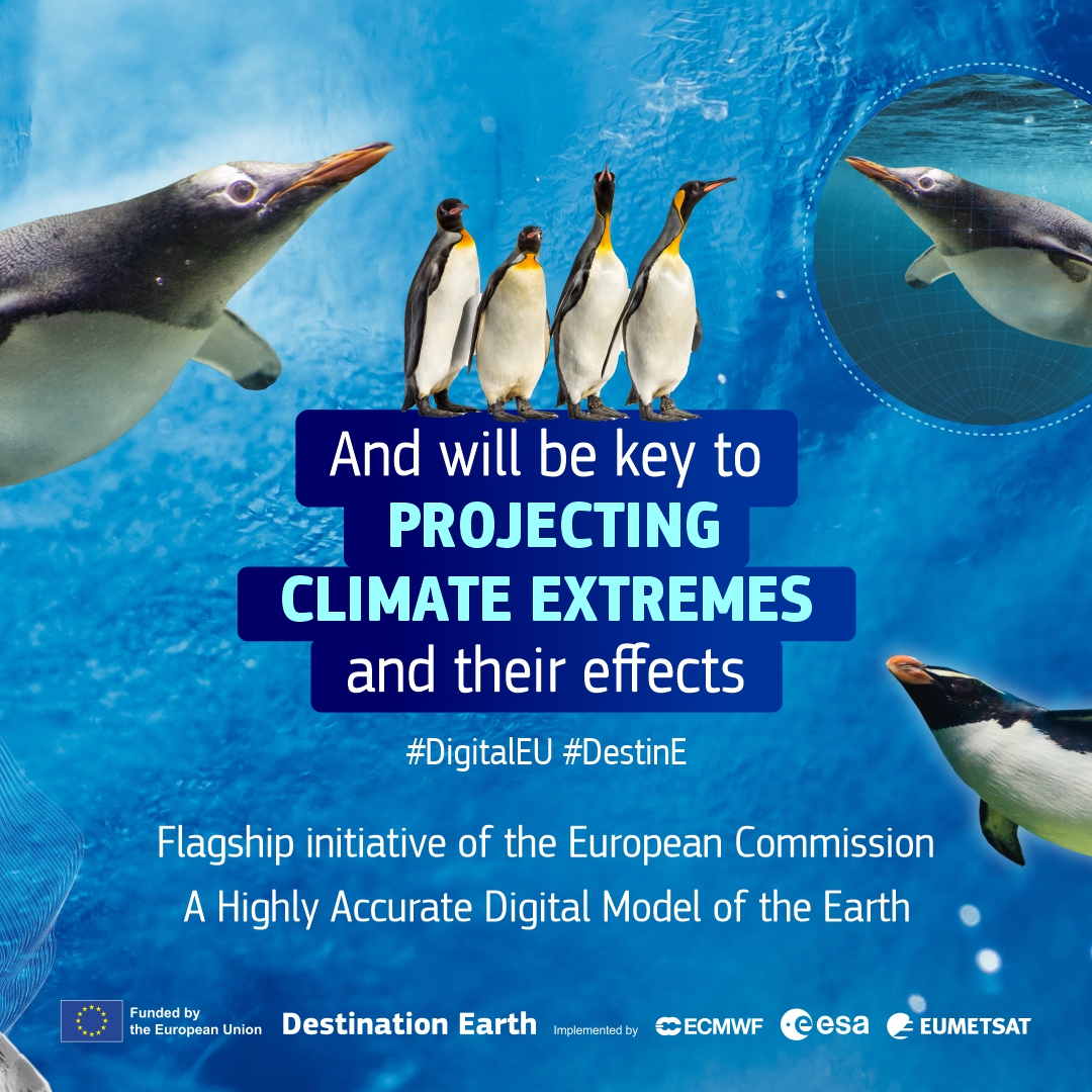 DigitalEU's tweet photo. There is something that technology can't replace, but can protect.

🌍 Destination Earth, a digital twin of our planet, will help protect biodiversity and threatened species by monitoring, simulating and predicting the effects of #ClimateChange.

#DestinE #WorldPenguinDay 🐧