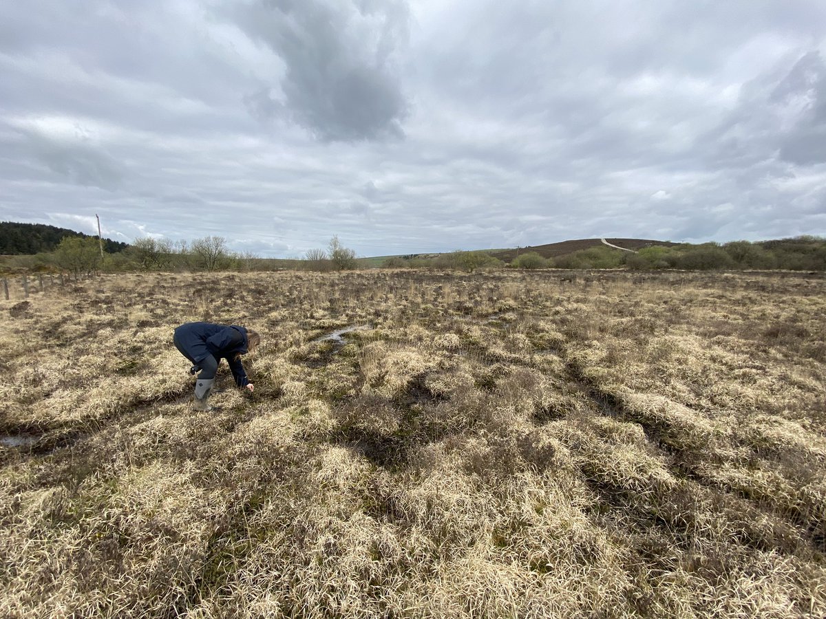 Next stop on SW tour - the almost Mediterranean Park Lake - owned by @SouthWestWater. Thankyou to Biodiversity Officer Hannah Bailey for the tour and confirming genuine company interest in rewilding here. In fairness the site is already rewilding after mining several decades ago.