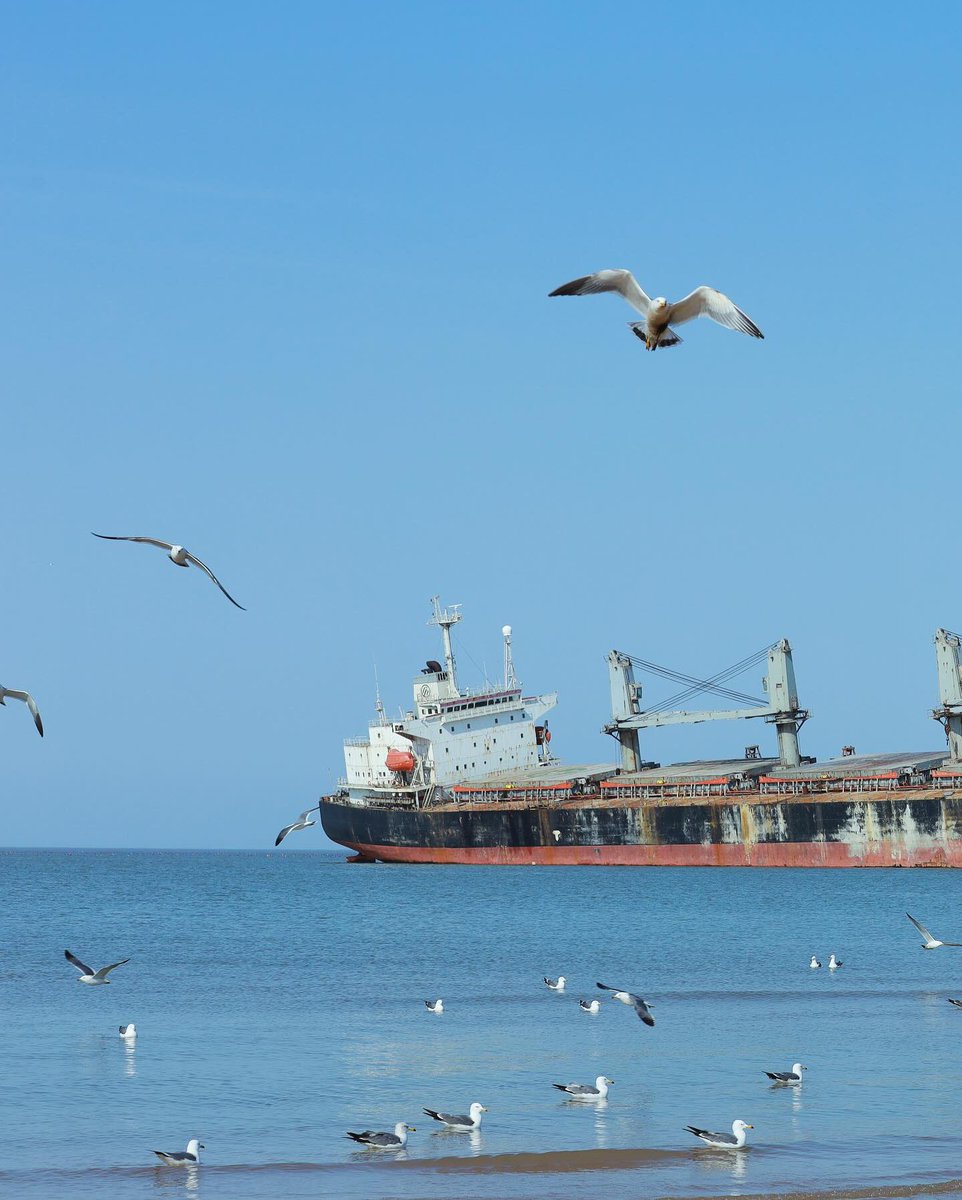 Moduvito's tweet image. 缺钱的时代
唯有含明隐迹

忍。

» instagram.com/p/C55EiGvPrsf/…

.