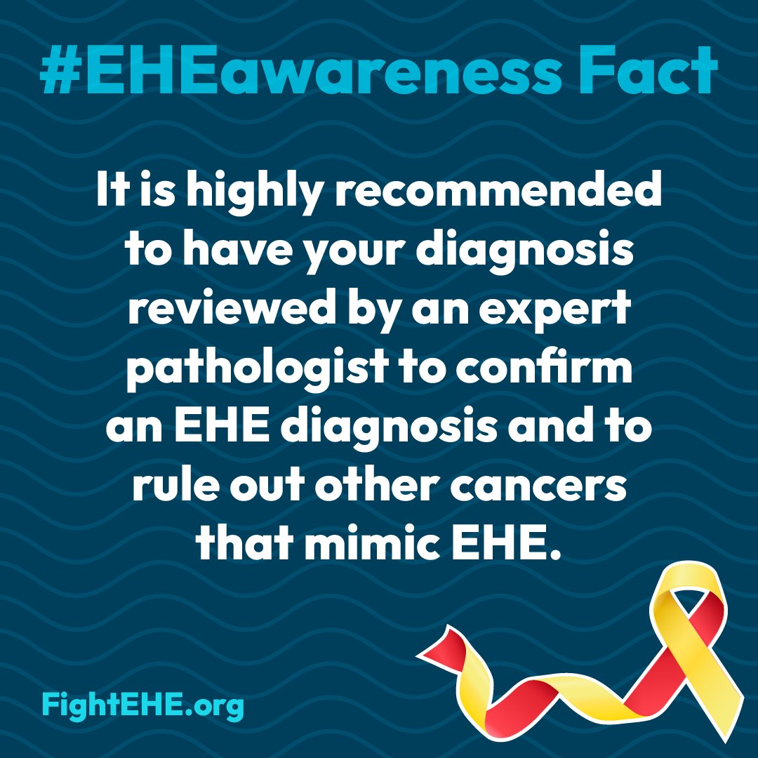 EHE Foundation tweet media