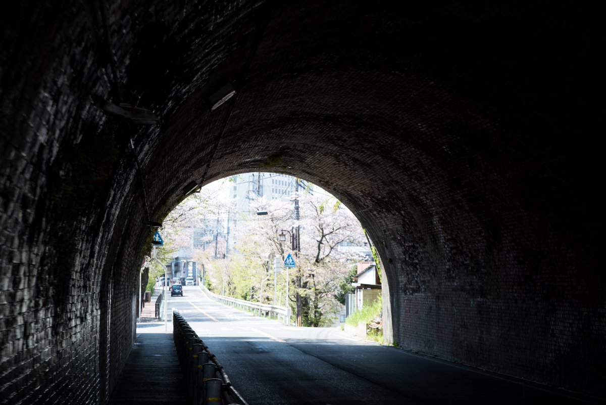 Scribble_Photo's tweet photo. break through
#休日 #休息 #dayoff #sunlight #春 #spring #リラックス #桜 #cherryblossoms #花 #flower #24色のパレット #透明感のある世界 #写真を止めるな #幸せな瞬間をもっと世界に #キリトリセカイ #写真は心のシャッター #私の記憶のカケラ #japanphotographer #ukphotographer #D750 https://t.co/71pDcGPLNo
