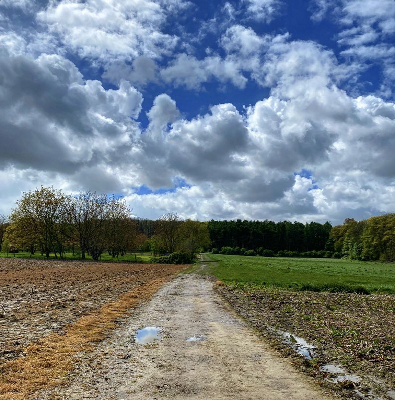 EMeirsch's tweet photo. #vrtweer #mazenzele #mountainbike 13u35 https://t.co/pfPfiGuI7s