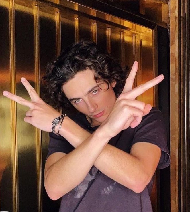 good morning timothée chalamet nation ✌️