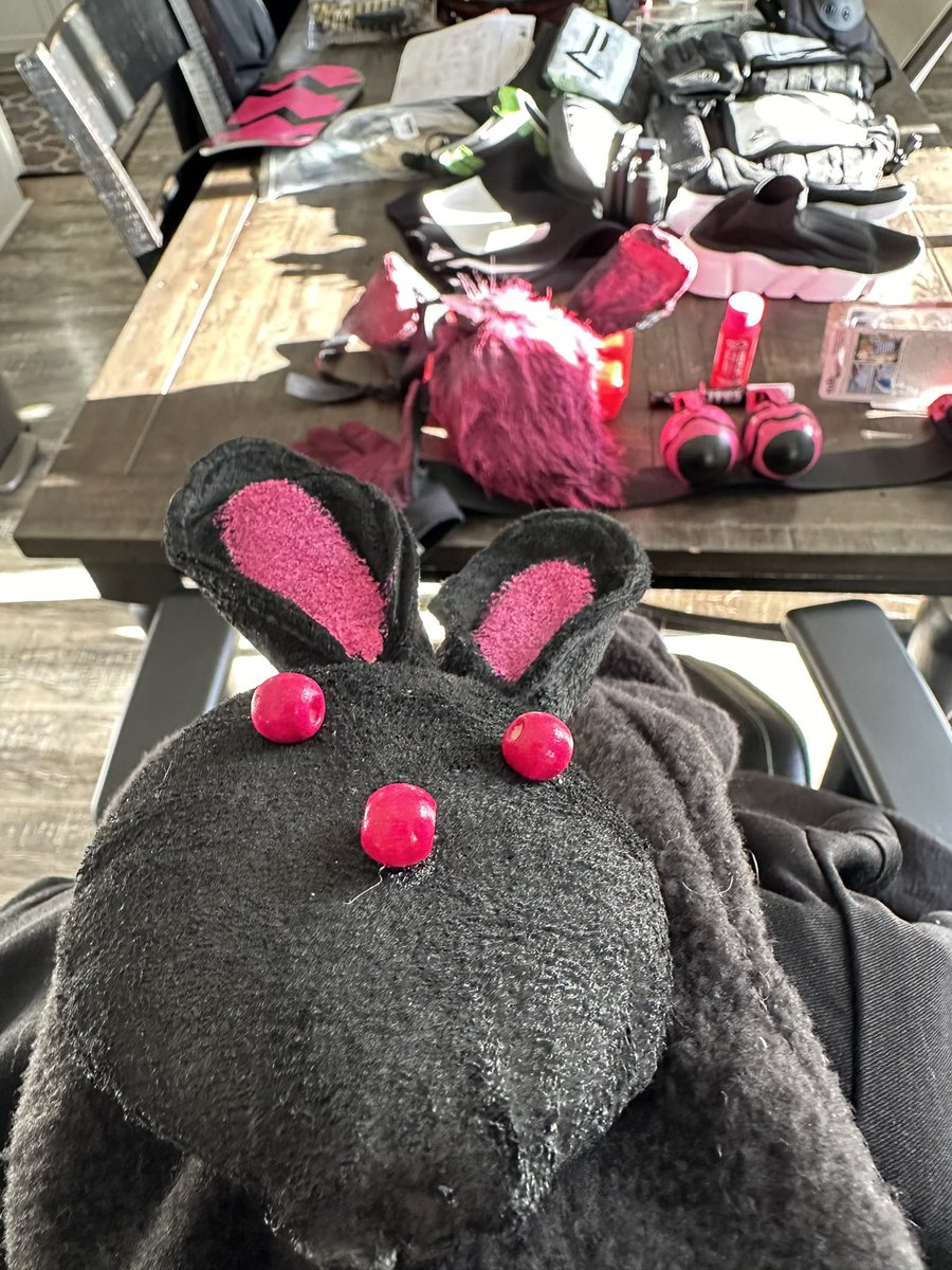 OllieOdinsonTTV's tweet photo. More prep for @LVLUPEXPO
#RabbitRaider https://t.co/c6rXNxFuu2
