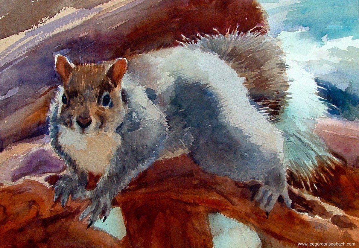 'Sedona Squirrel'  watercolor on Arches 11'x15' (Private art collection, Germany)  #Watercolour #watercolor #art #watercolourpainting #watercolorpainting #painting #paintings #ArtistOnTwitter #wildlife #100daysofpainting #painterlypainter #Arizona