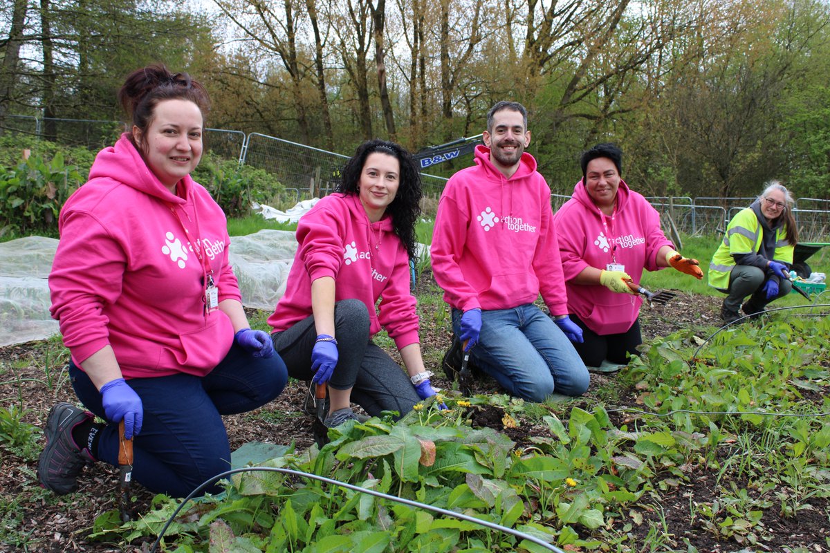 🪴As part of #GoodtoGrowweek, our Oldham Volunteering team spent this morning volunteering at the Alexandra Park Hub. The Hub is a food-growing hub, community allotment and is part of the Get Oldham Growing programme 👉 Read the full story here - actiontogether.org.uk/action-togethe…