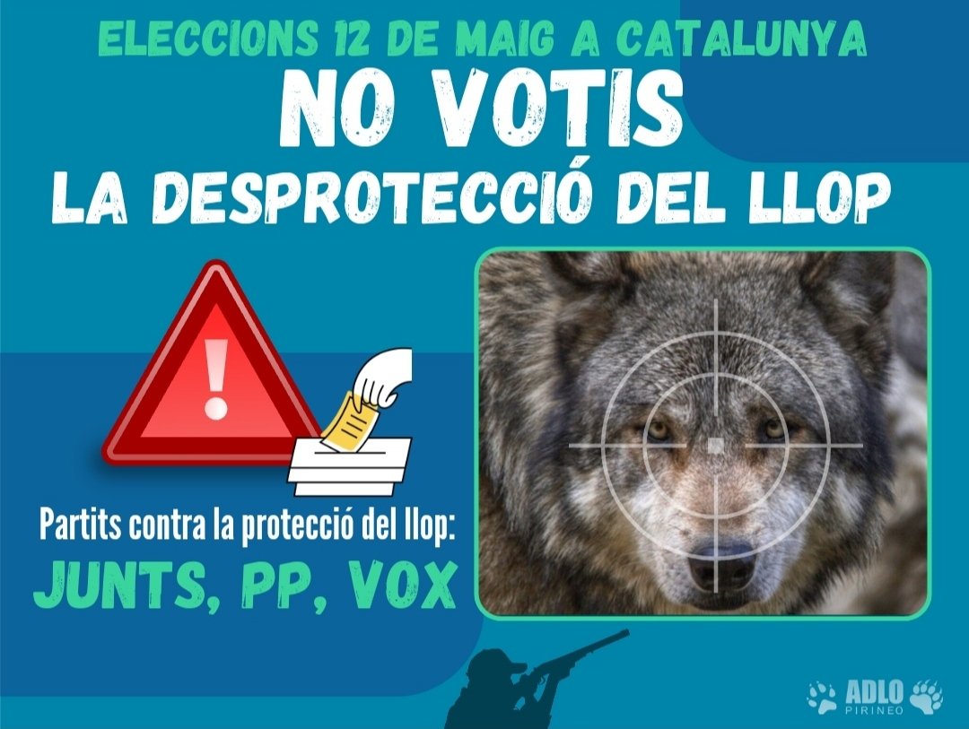 Ambientalistes, ecologistes, animalistes, biòlegs, naturalistes, defensors de la biodiversitat!.

Si voteu a Junts, PP o Vox a les pròximes eleccions del 12 de maig a Catalunya heu de saber que estareu votant a favor de la desprotecció del llop