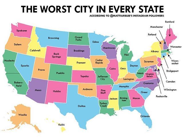 Best Of Minnesota tweet media