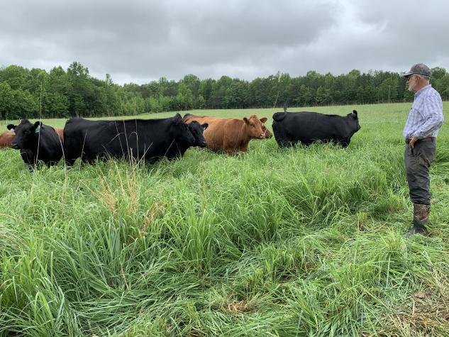 Farmers are needed for a grassland improvement project. Participating operations will work with extension specialists to implement grassland management practices that are known to improve productivity and provide environmental benefits. Get more info: brnw.ch/21wJ8fN