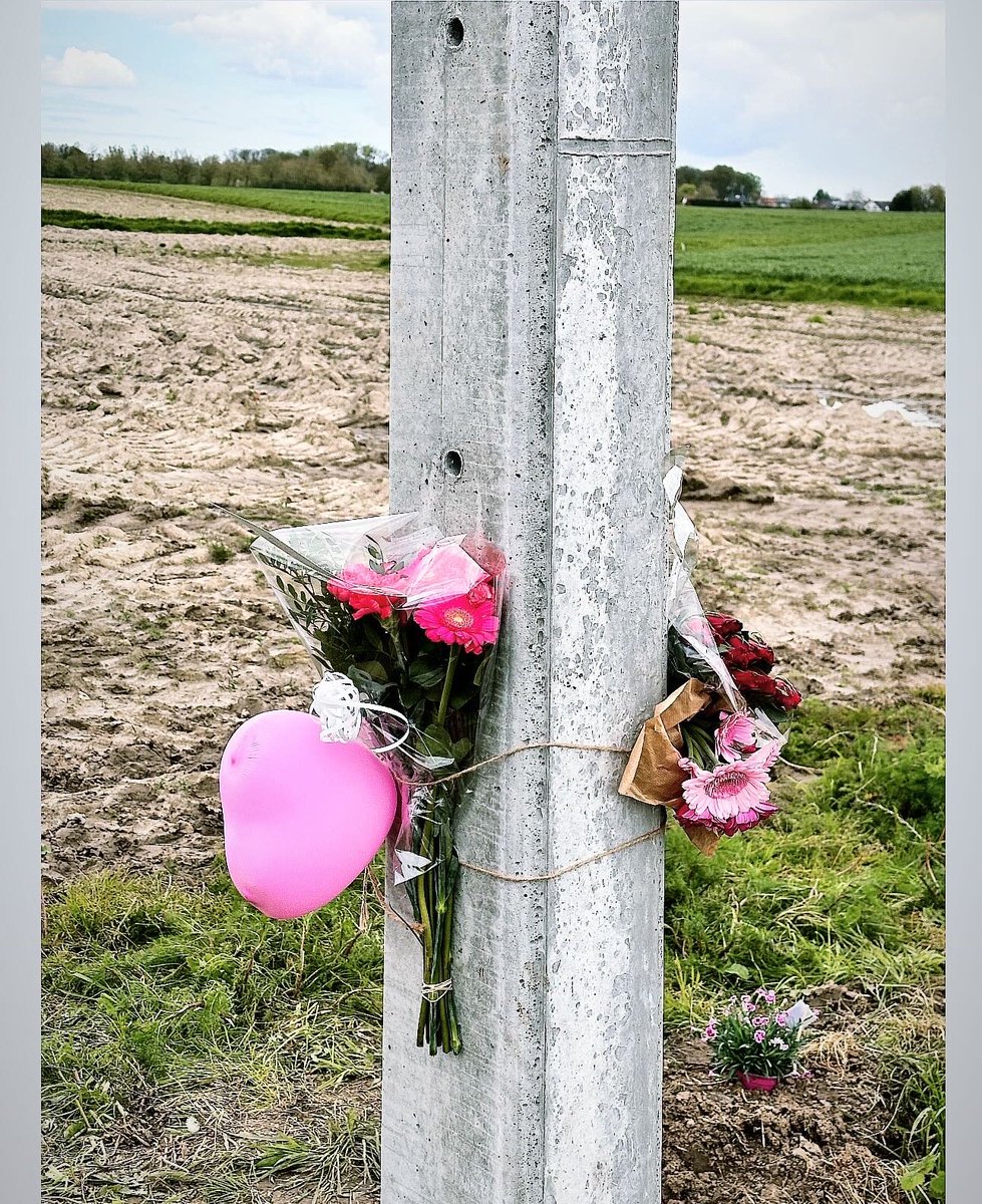 VolckeJill's tweet photo. Rust in roze… 
voor altijd in ons hartje homie💫🩷 https://t.co/ztVmqN0AdC