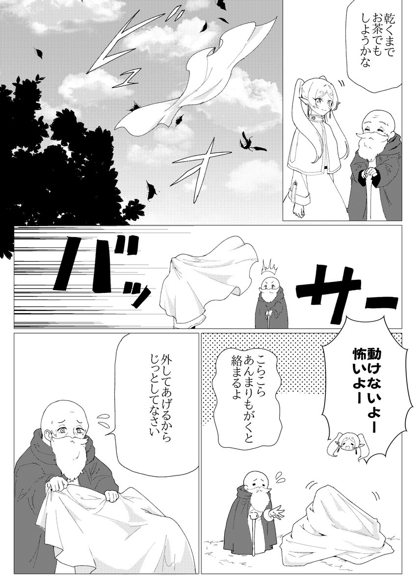エーラ流星と葬送までの間にあったかもしれない時間
*微ヒンフリ 
