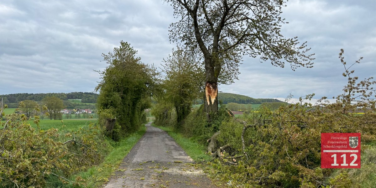 ffschfeld's tweet photo. 📟 21.04.2024 17:37 Uhr - Baum auf Straße - Wüstfeld-Landershausen. Im Einsatz war die Feuerwehr Schenklengsfeld (KEG). https://t.co/RvmDukvRcT