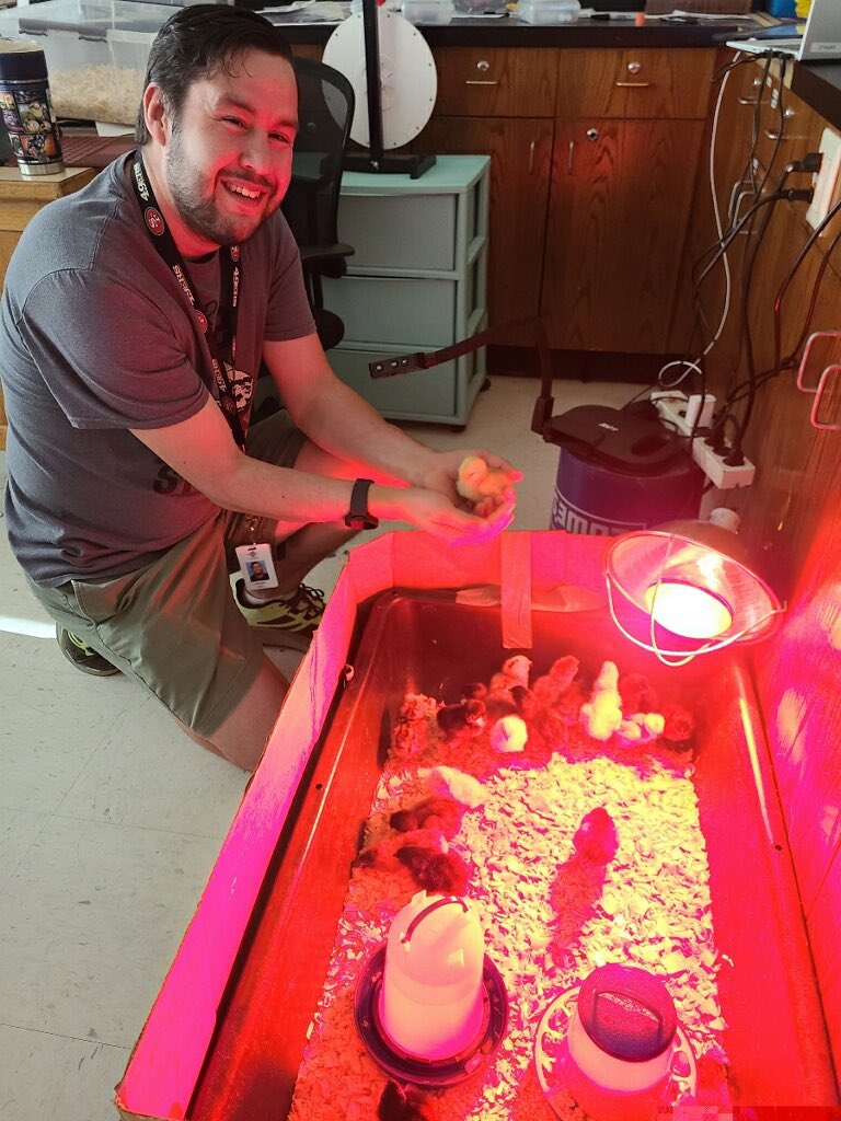 Second year @RobinsonMidSch Science Teacher, Mr. Kist, has been live streaming the incubation and hatching process of chicken eggs for his students to watch. 25 eggs hatched over the weekend! #WPSproud