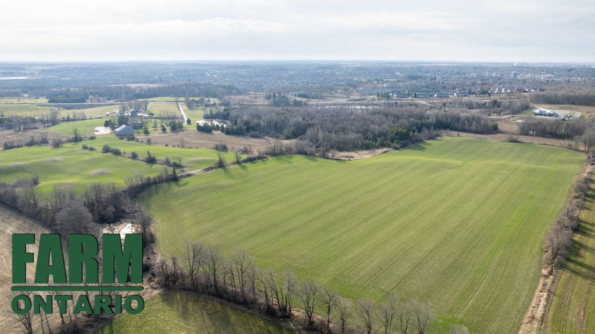 📍1480 Hespeler Rd, Cambridge ON
💲$4,249,000

89.5 acres with future potential! This agricultural-zoned land offers 65-67 cleared acres, pond, and buildings. Ideal for investment or building your dream home!

Offers May 13

youtu.be/hciYpmccRVc