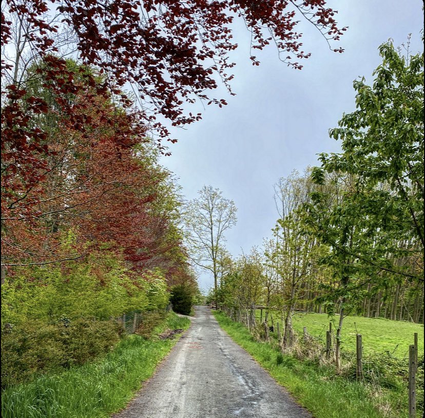 EMeirsch's tweet photo. #vrtweer #meldert #mountainbike 13u24 Herfst of lente? 😅 https://t.co/UHAUTkUzVJ
