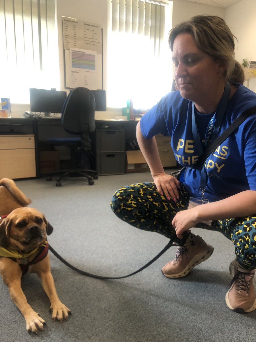 Tropical Lagoon children’s ward have a special visitor today - Rodney 🐾💖Rodney is such an adorable pooch the children love his visits 💖 @BHRUT_NHS @GaryEtheridge3 @vickymilesgale @PTEXPBHR