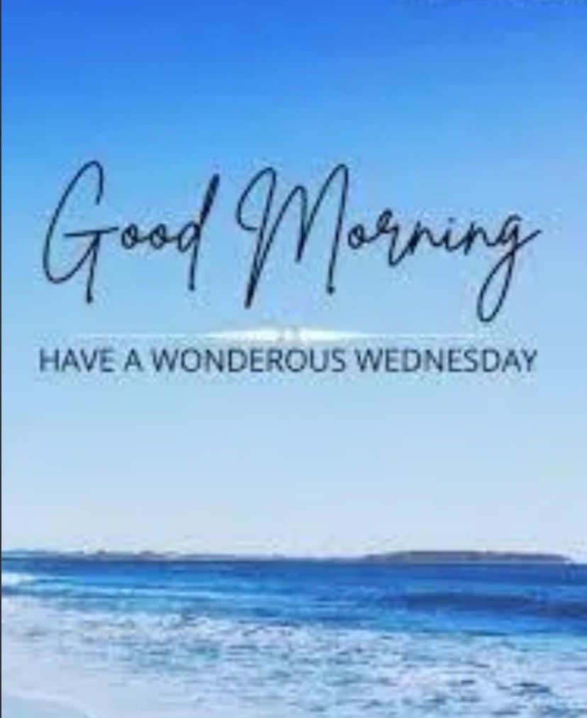 Hello Wednesday, let’s do this! 😊 #bridgetenderinn #bradentonbeach #annamariaisland #happyhumpday #CheersToGoodFood #meetmeatthetender #PositiveVibes #wonderfulWednesday #WednesdayMood