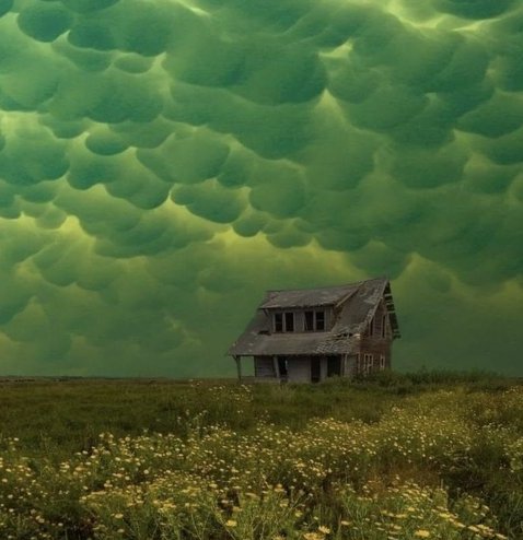 Leon Ravage ☢️🏳️‍🌈☢️ (@leonravage) on Twitter photo 