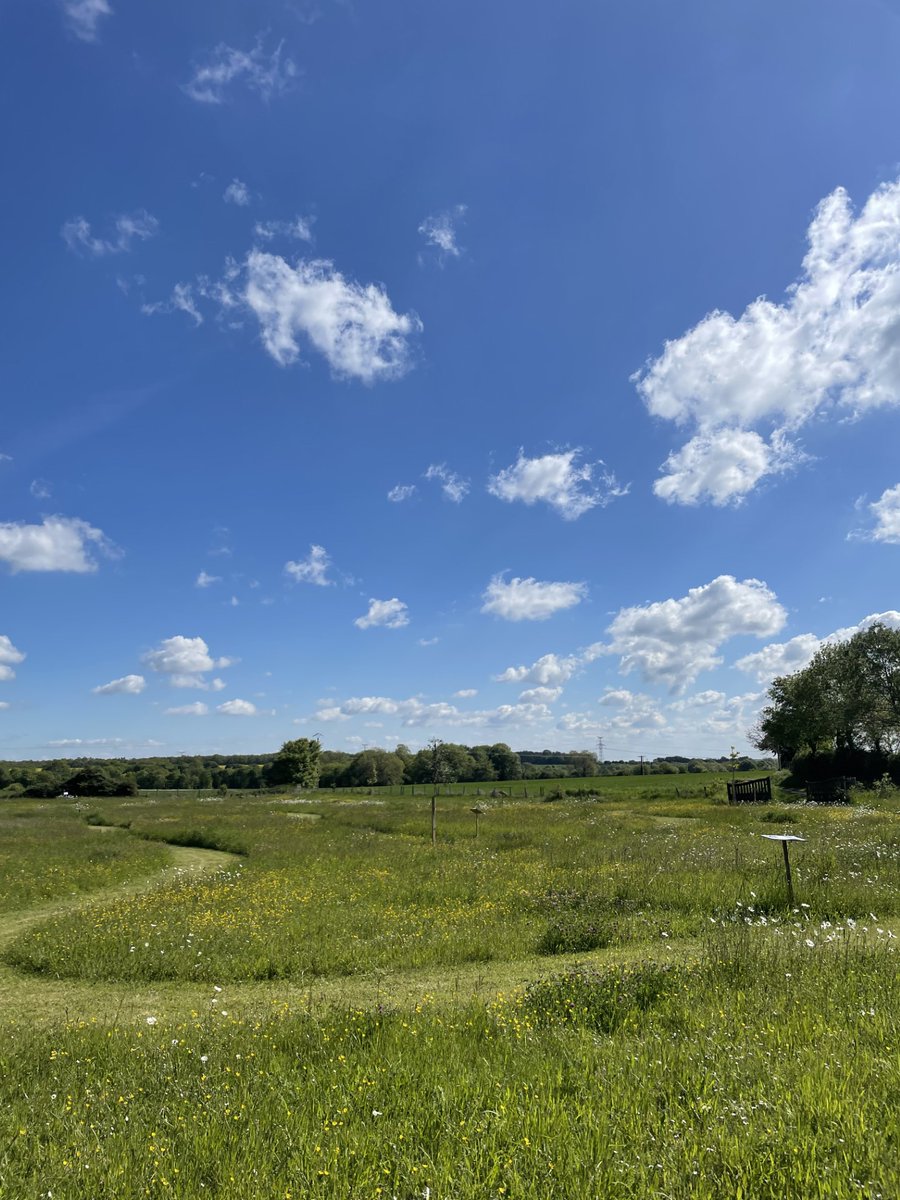 Retour sur la première 'matinée du paysage' organisée par le #dept17. Ici, l’exemple de la commune de La Jarrie- Audouin qui a mis en place une gestion différenciée de ses espaces verts, tonte raisonnée, fleurissement des pieds de murs, choix de végétaux peu gourmands en eau…