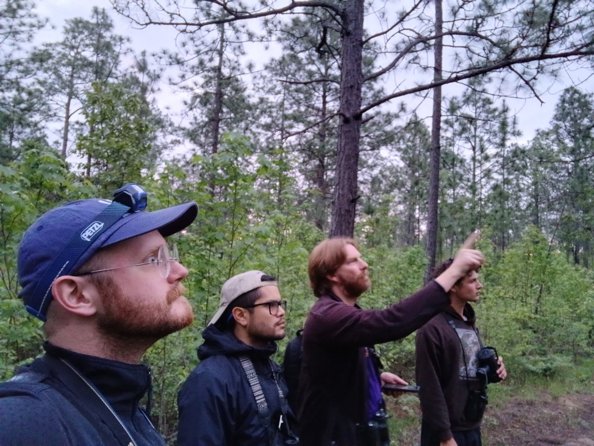 Introducing the 2024 LSUMNS Ornithology Big Year team! 
Support the fundraiser at givelsu.org/bigday
(Thread 1/7) #lsumnsbigday2024