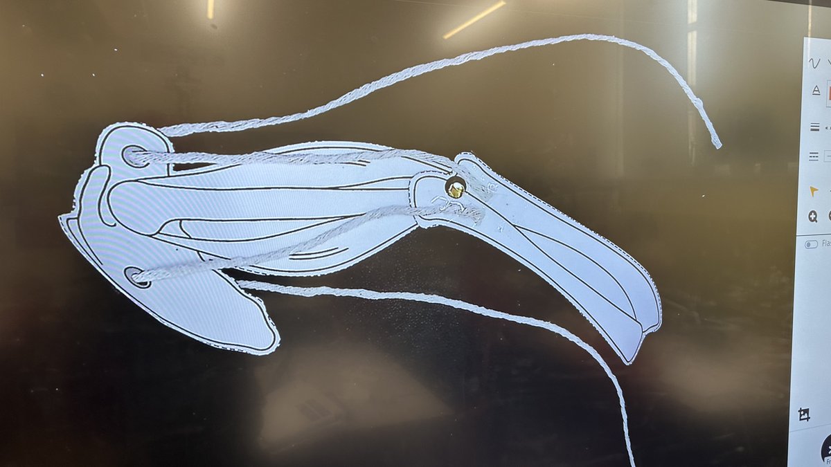 In science today, Class 3 continued with their learning on Animals including Humans. They carried out an experiment to make their own arm muscle model. <a href="/advisoryscience/">Advisoryscience</a> @haringeyeduc #Article17 #Article28 <a href="/bwcet/">Bishop Wilkinson Catholic Education Trust</a>