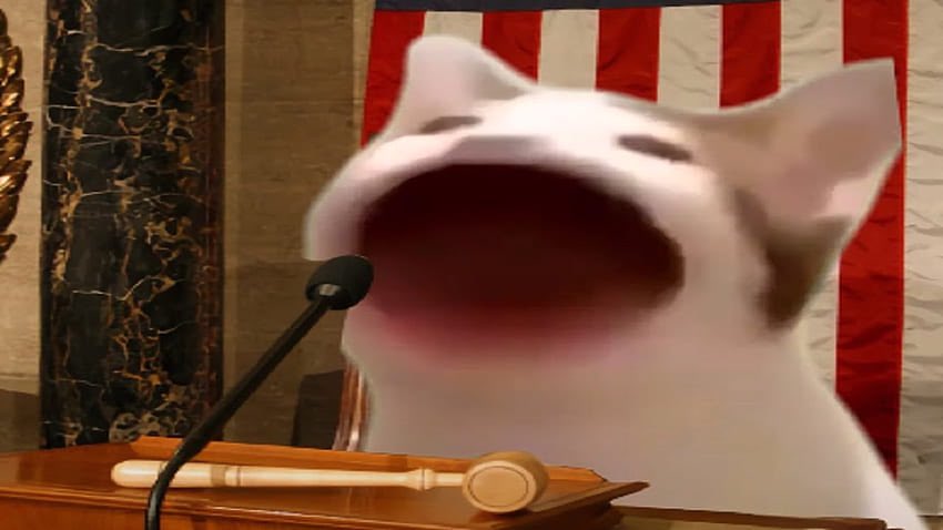 PopCat_Base's tweet photo. Popcat for president 🐈

$POPCAT https://t.co/D3rn3XeFCE