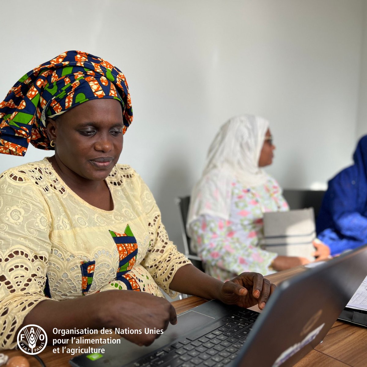 .@FAO #IMISDG6 et @Mea_Gouv travaillent ensemble pour une analyse inclusive et sensible au genre des données sur l'eau et l'assainissement. L'atelier de finalisation «Contextualisation selon le genre de l'#ODD6 au Sénégal » s'est conclu à Dakar. ➡️tinyurl.com/bdebhnxe