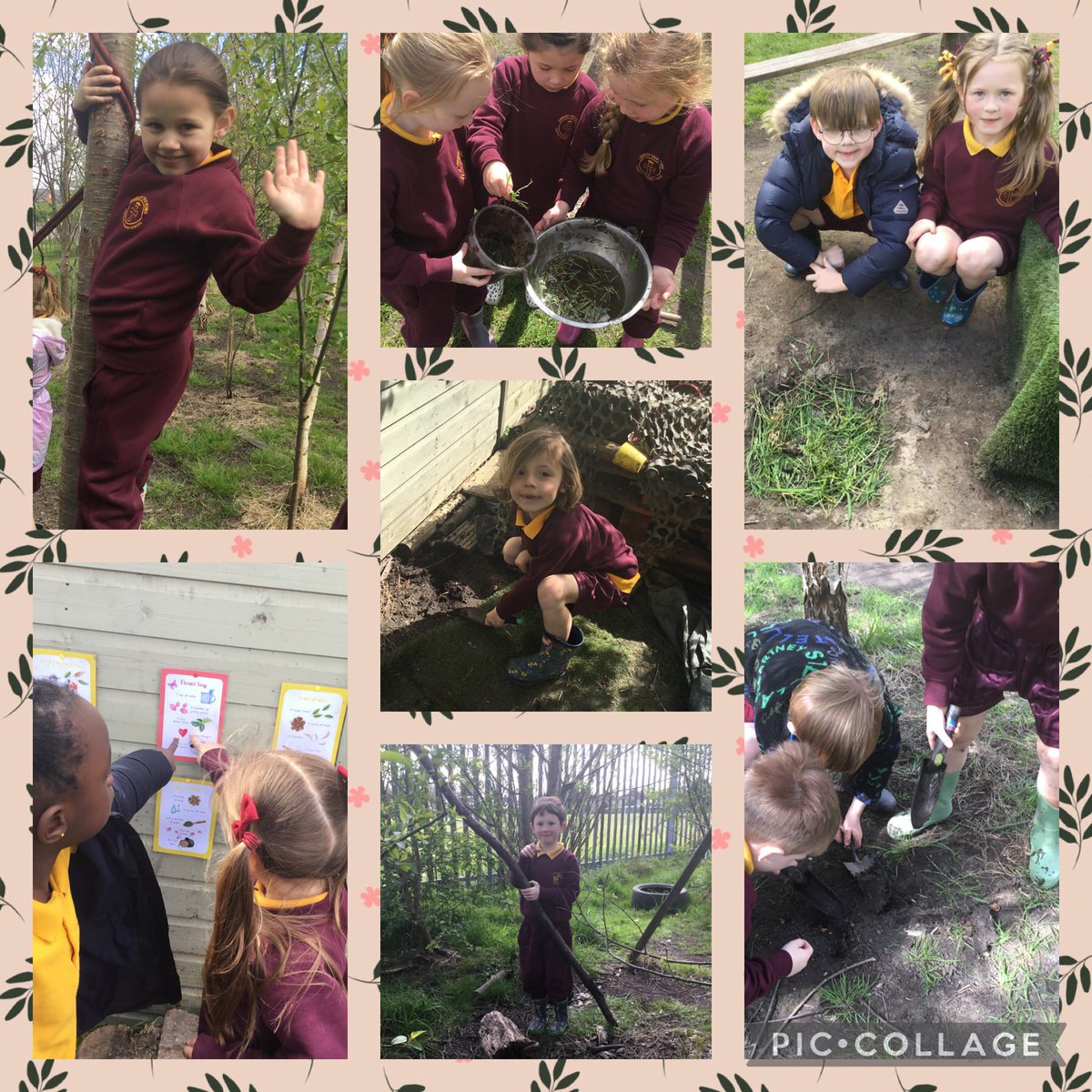 CTKLiverpoolFS's tweet photo. The sun is shining and @CTKLiverpoolY1 are back in the trees! Today we made safe spaces for frogs 🐸 https://t.co/QUDvsz16jM